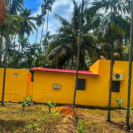 Shivalaya Farmstay Located Amdist Coconut Farm With River Access Near Isha,Adiyogi,Siruvani Alāndurai Zewnętrze zdjęcie